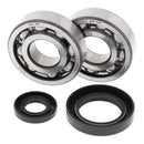 All Balls Racing Crankshaft Bearing Kit (24-1030)
