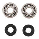 Main Bearing and Seal Kit