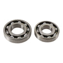 Main Bearing and Seal Kit