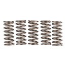 Premier Clutch Springs - Heavy Duty