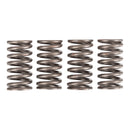 Premier Clutch Springs - Heavy Duty