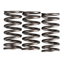 Premier Clutch Springs - Heavy Duty