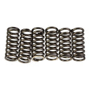 Premier Clutch Springs - Heavy Duty