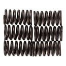 Premier Clutch Springs - Heavy Duty