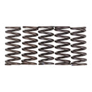 Premier Clutch Springs - Heavy Duty