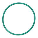 Quantum Fuel Pump Seal Gasket