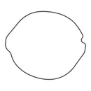 Outer Clutch Gasket Kit 817253