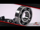 All Balls Racing Crankshaft Bearing Kit (24-1021)